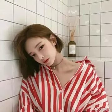 凡妮莎海辛第五季